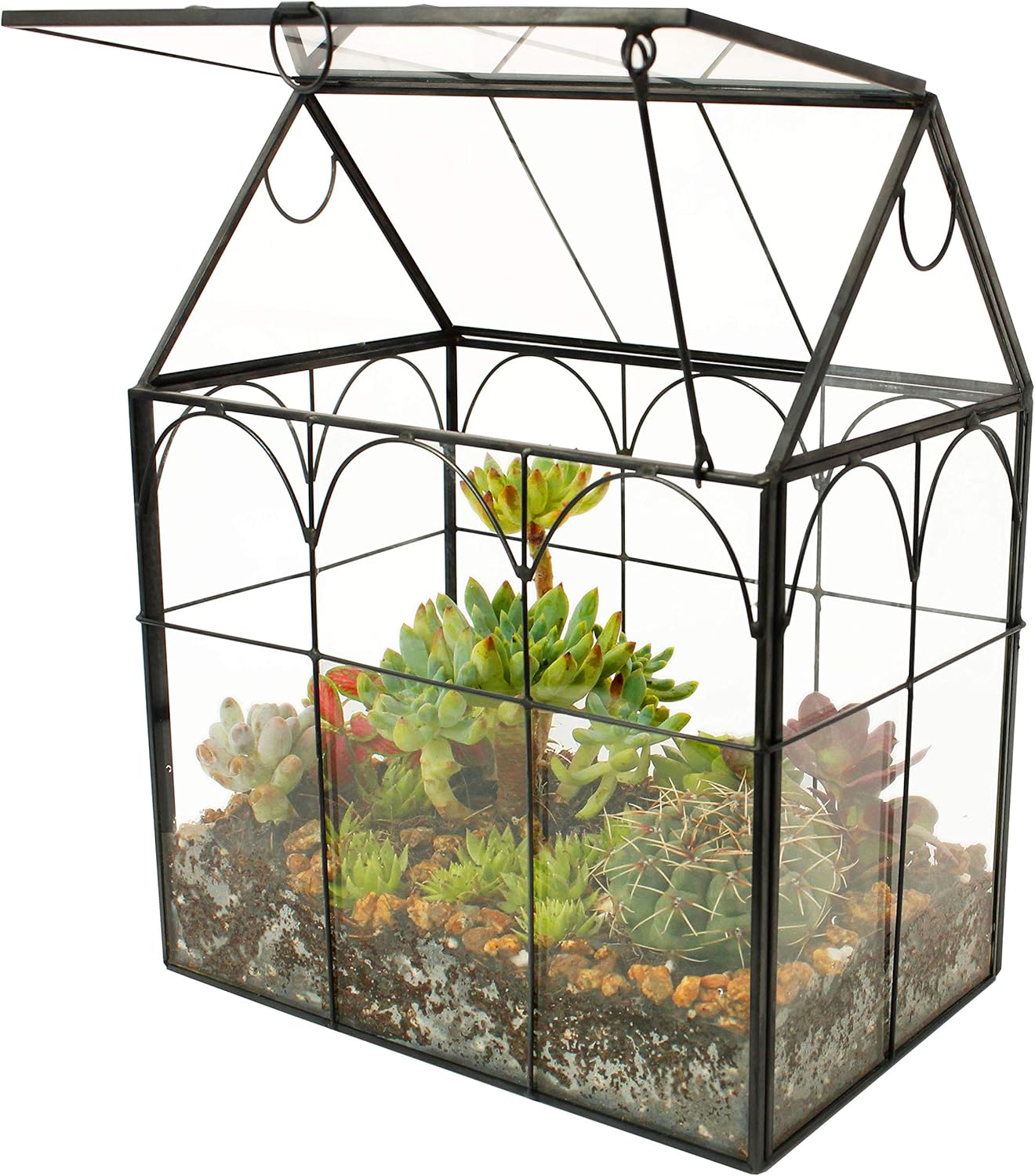 ELEGANTLIFE Glass Geometric Plant Terrarium,Succulent & Air Planter for Home Garden Office Decoration (Black House)