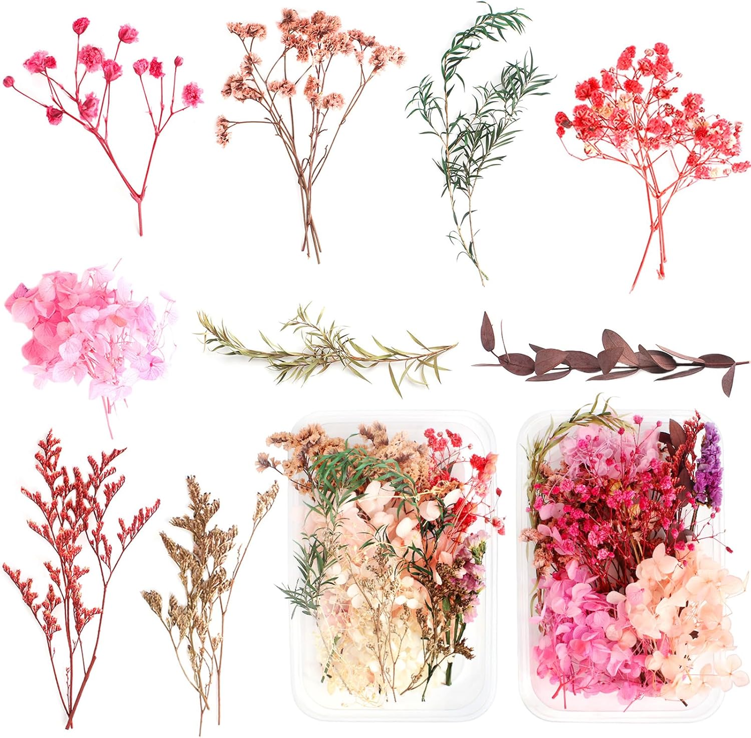 2 Boxes Real Dried Flowers Natural Dry Flowers Leaves Colorful Real Dried Flower Plant DIY Crafts Materials Dried Floral Decorations For Resin Crafts Candle Making Gift Card(16-20 Random Kinds)