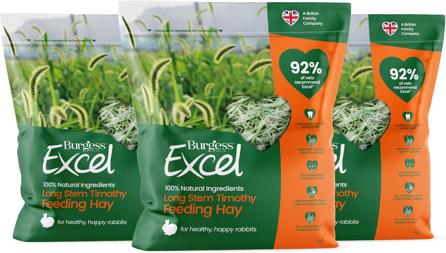 Burgess Excel Feeding Hay, Premium Long Stem Timothy Hay for Rabbits 3kg