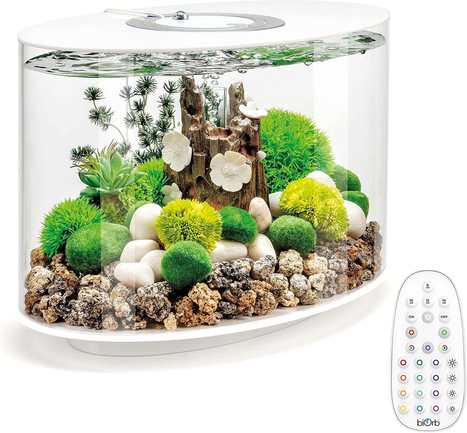 biOrb Loop 15 Acrylic 4-Gallon Aquarium with Multi-Color Remote-Controlled LED Lights Modern Compact Tank for Tabletop or Desktop Display, White-Trimmed Tank