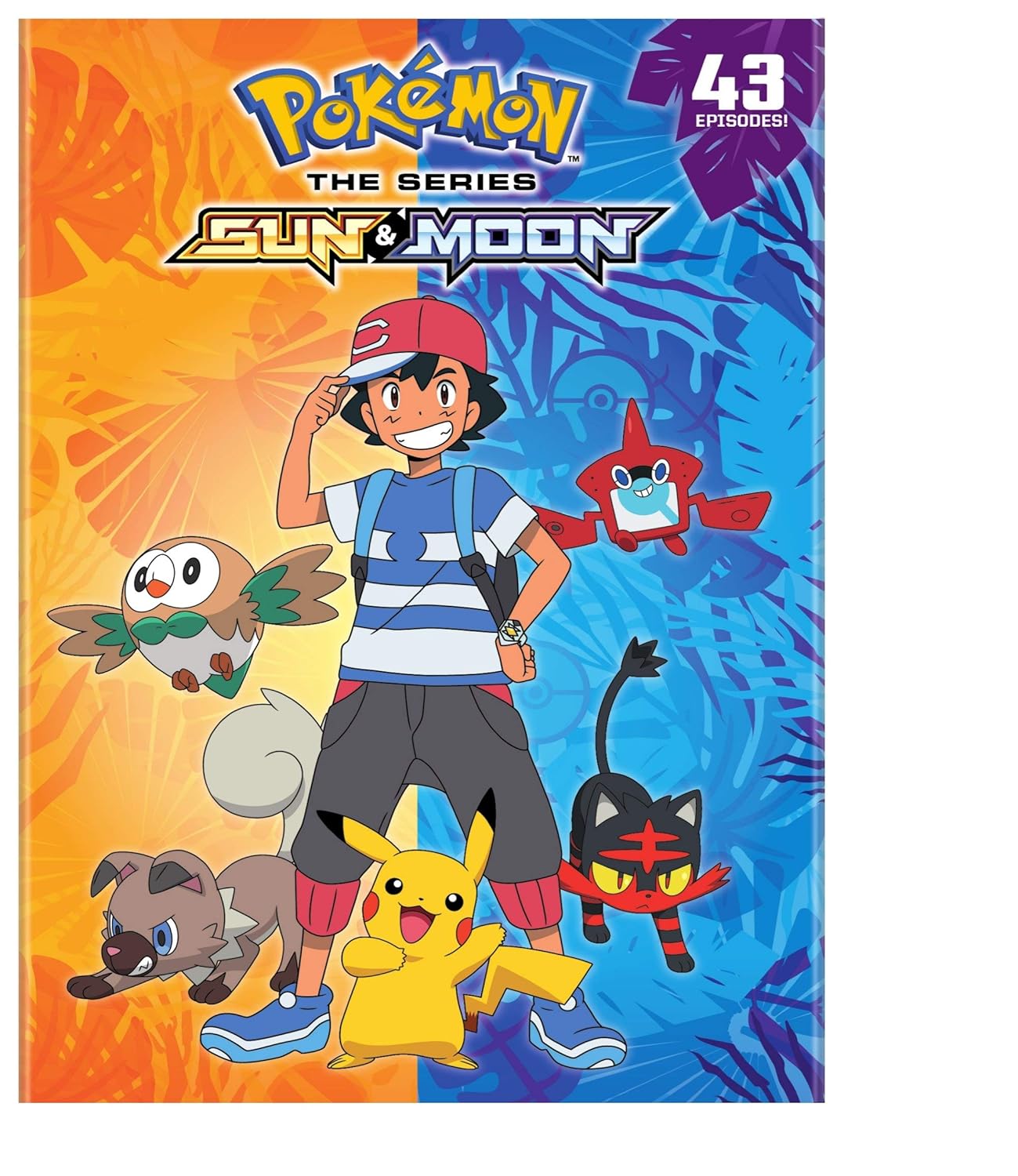 Pokemon The Series: Sun & Moon Complete Collection (DVD)