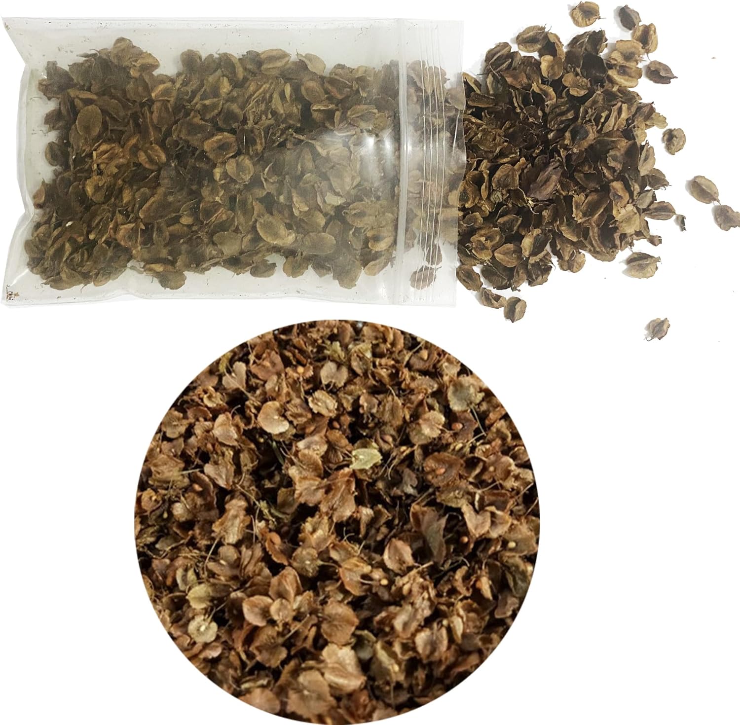 Cayway 1 Pack Realistic Miniature Leaves Simulation Leaves for DIY Railway Fairy Garden Simulation Vine for Fairy Garden Diorama Scenery Landscape Layout