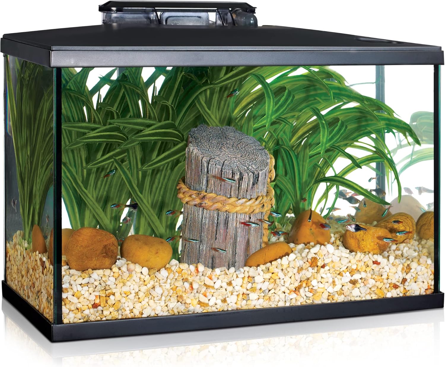 Marina LUX LED Aquarium Kit, 19 Litre