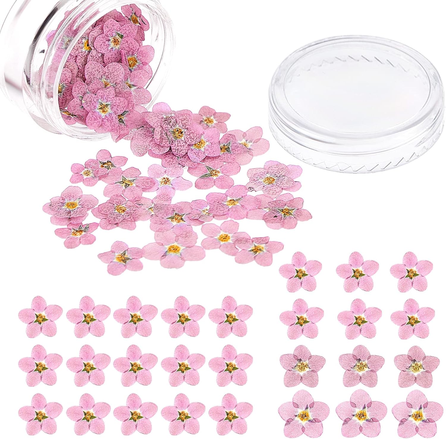 Timtin 100 Pcs Natural Dried Forget Me Not Flowers Don't Forget Me Real Dried Pressed Flowers for Jewelry Candle Card Making DIY Resin Ornaments Nail Art Decorations(Pink)