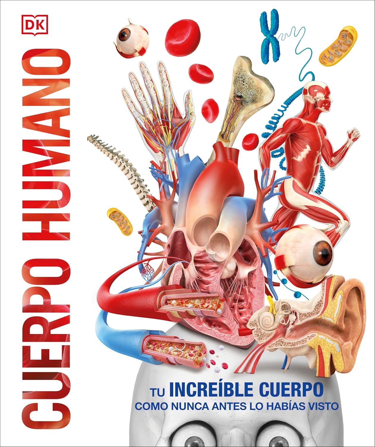 Cuerpo humano (Knowledge Encyclopedia Human Body!) (Spanish Edition)