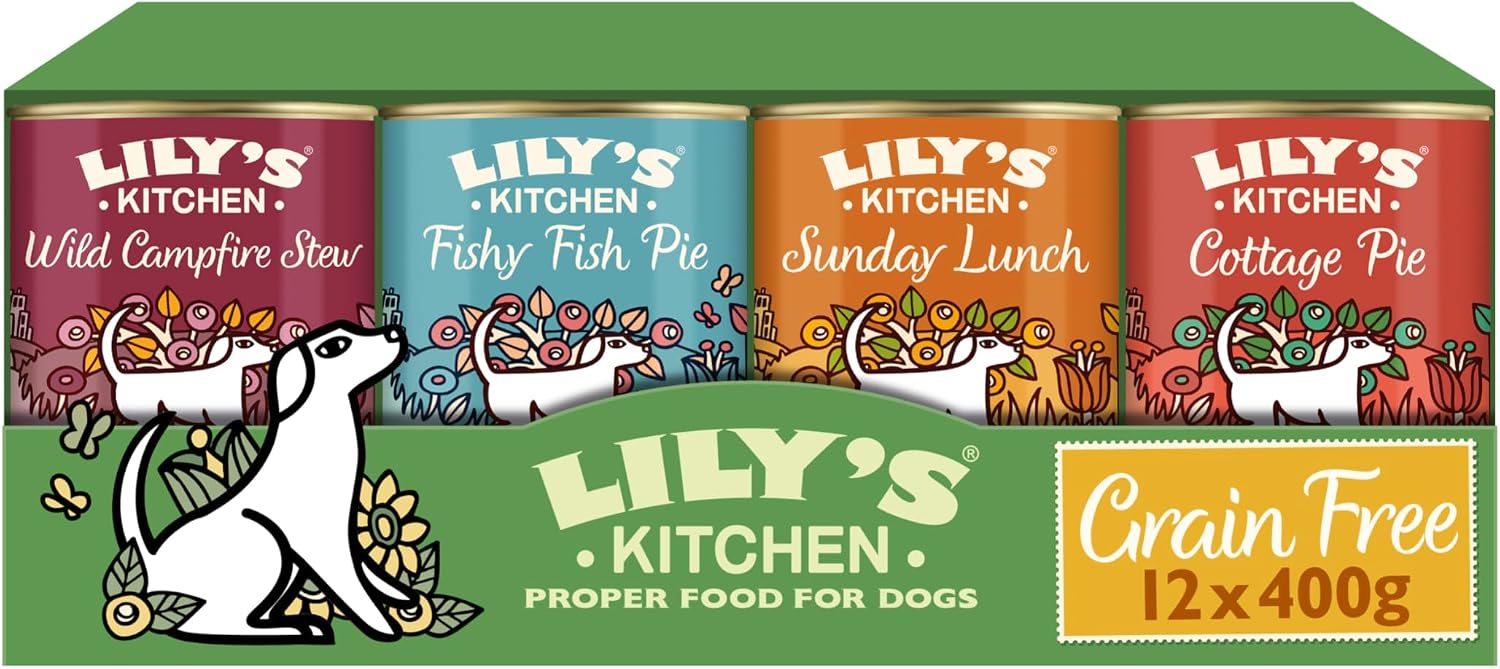 Lily's Kitchen natural wet food for adult dogs, canned, grain-free recipes, various types (12 x 400g cans)