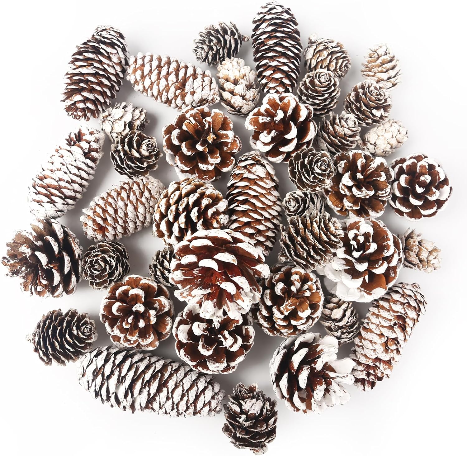 VGOODALL 40PCS Snow Pinecones Decorations, Natural Pine Cones for Crafts Christmas Pine Cone Ornaments for Xmas Tree Wreath Winter Holiday Hanging Ornaments