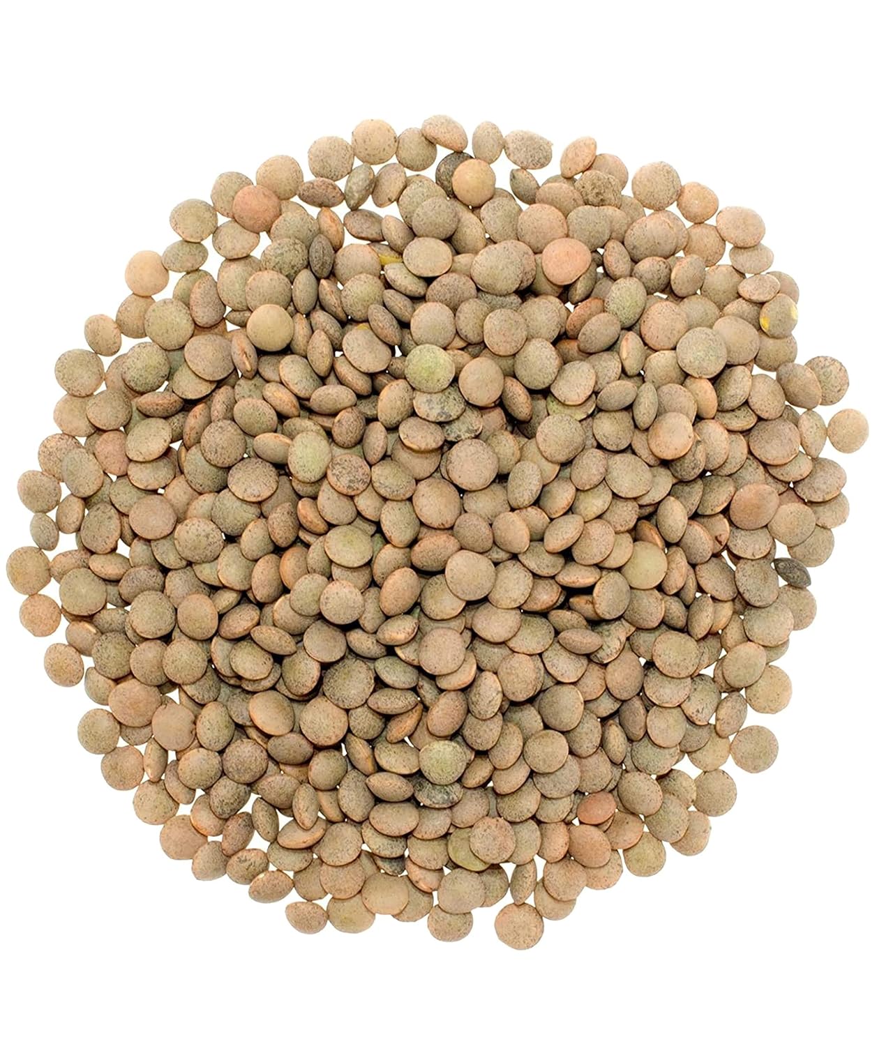 Certified Glyphosate Residue Free Small Brown Dry Lentils | 18 LBS | Family Farmed in Washington State | 100% Desiccant Free | Non-GMO | 100% Non-Irradiated | Kosher | Field Traced