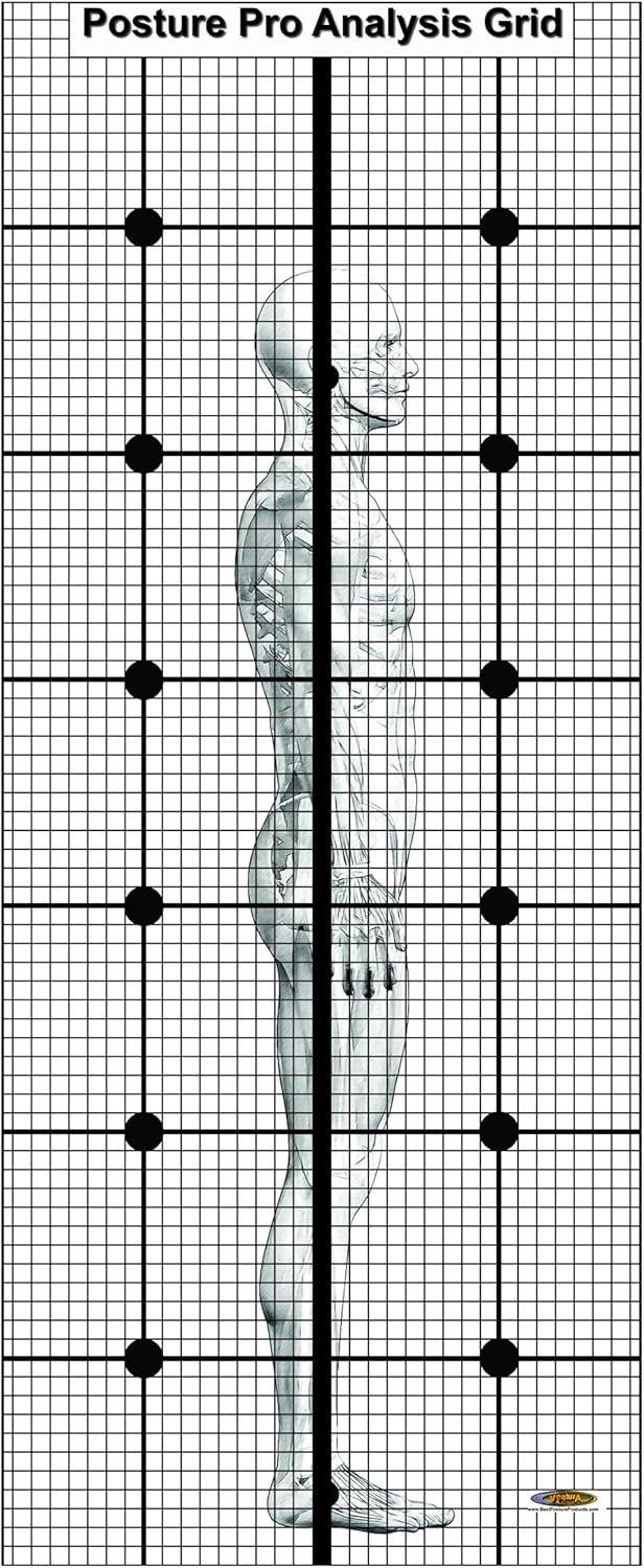 Professional Posture Grid