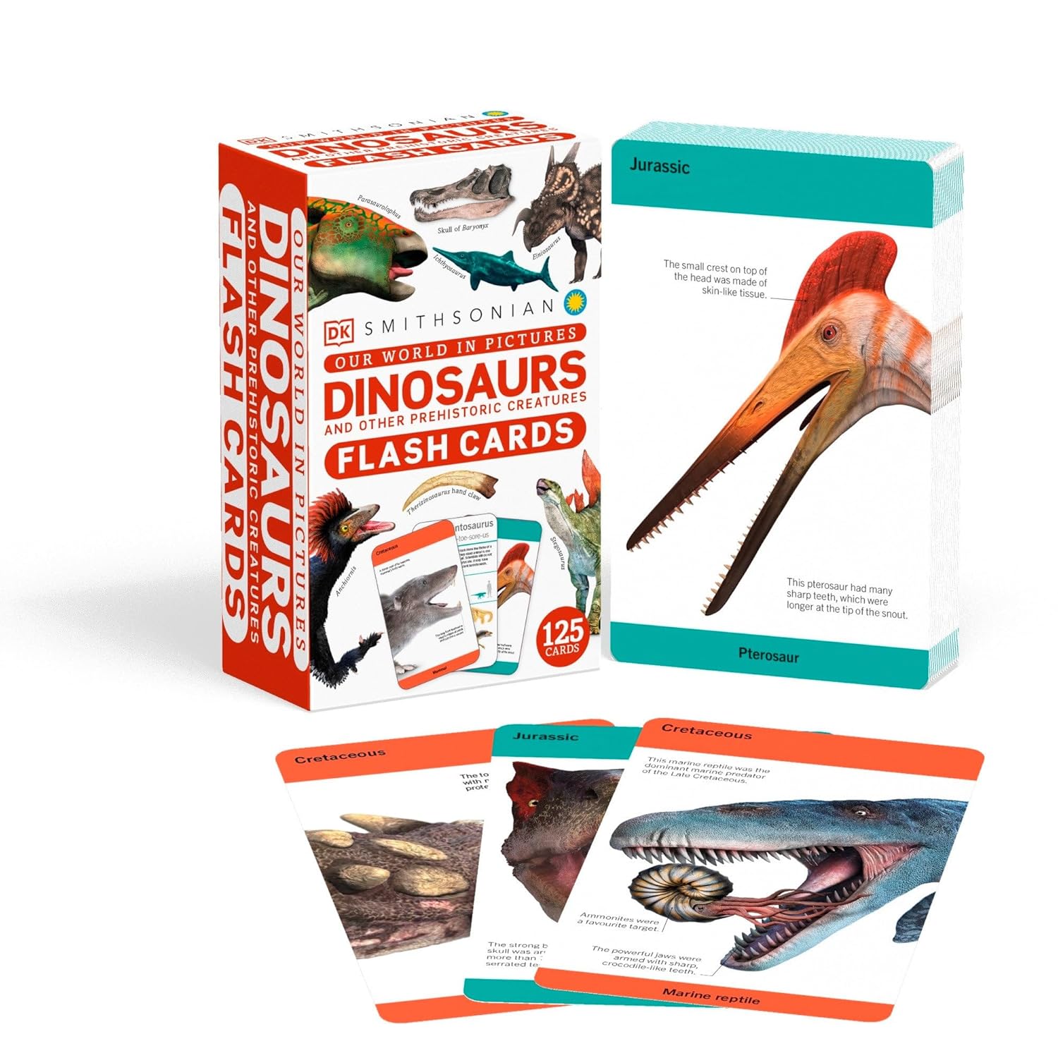 Our World in Pictures Dinosaurs and Other Prehistoric Creatures Flash Cards (DK Our World in Pictures)