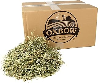 Oxbow Animal Health Western Timothy Hay - All Natural Hay for Rabbits, Guinea Pigs, Chinchillas, Hamsters & Gerbils- Made in the USA- Fiber Rich- Veterinarian Recommended - 25 lb. Bulk Size