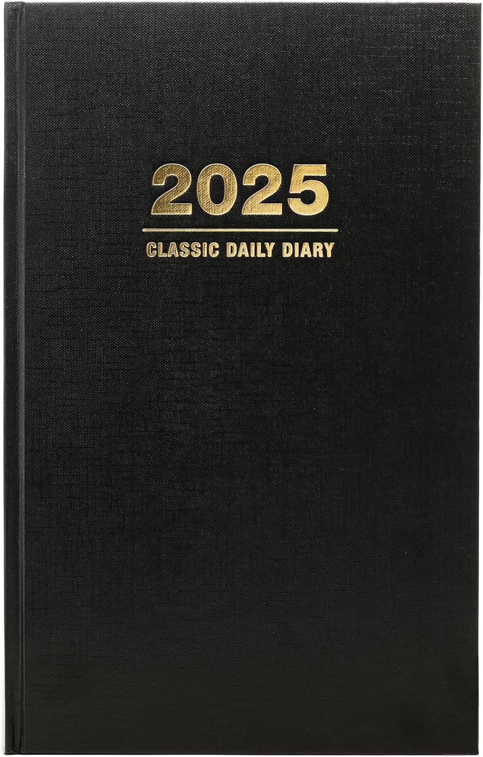 2025 Professional Hardcover Daily Diary Journal and Planner, 8"x12.5" (Black)