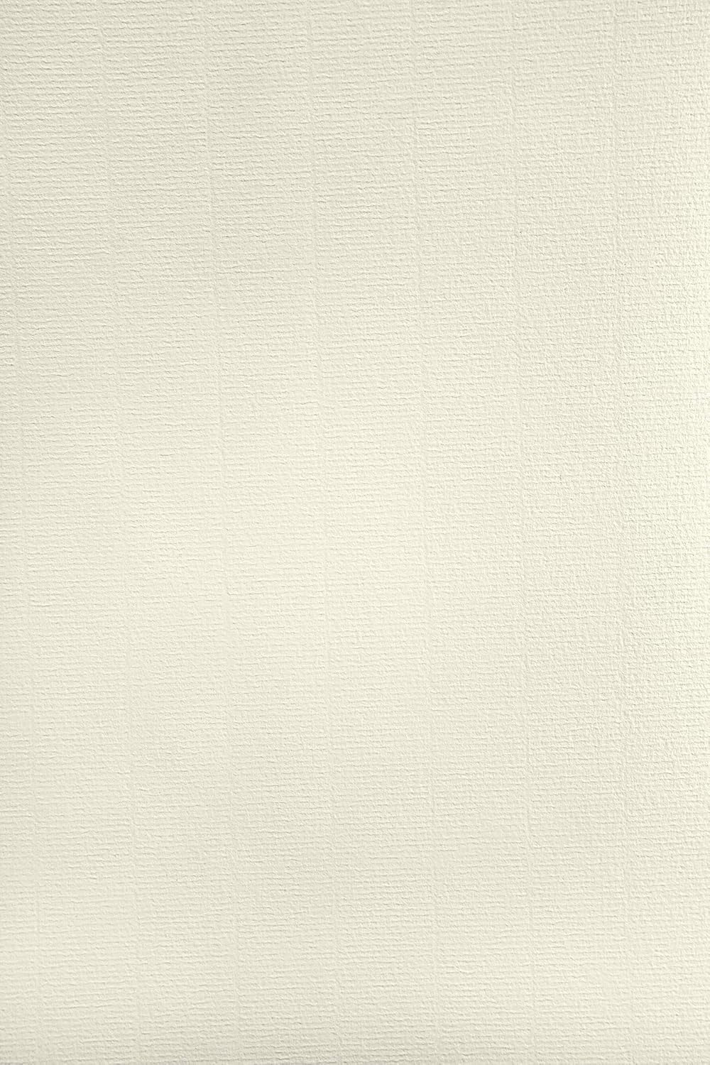 Netuno 50 Laid Ivory Paper A4 297 x 210 mm 8.3 x 11.7 in 120gsm Aster Laid Ivory Elegant Ribbed Paper Textured Decorative Cardboard for certificates Weddings Invitations Anniversaries Diplomas