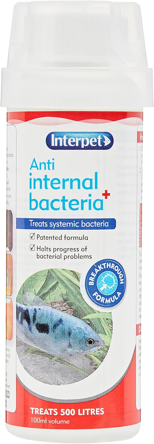 Interpet Anti Internal Bacteria Treatment for Aquarium Fish, Halts Progress of Bacterial Problems, 100 ml, Treats 500 litres