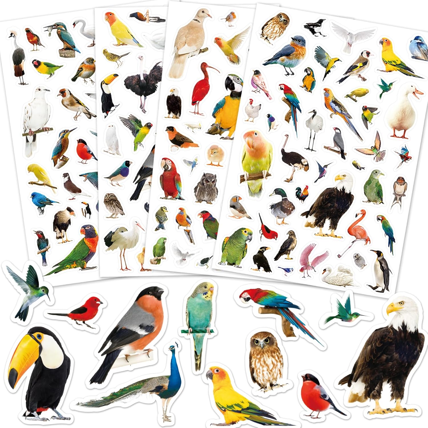 FindFunFine Bird Stickers 1000+ Tropical Animal Parrot Flamingo Stickers Party Favors Gifts Decor for Scrapbook Calendar Planner Gift Wrap Decor Teacher Must Have