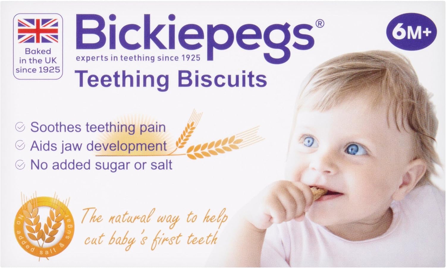 Bickiepegs Natural 9 Teething Biscuits for Babies , 38 gm (Packaging May Vary)