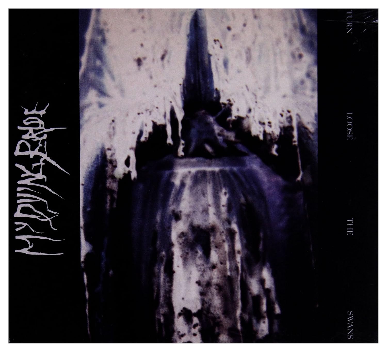 Turn Loose The Swans 2 Bonus Tracks