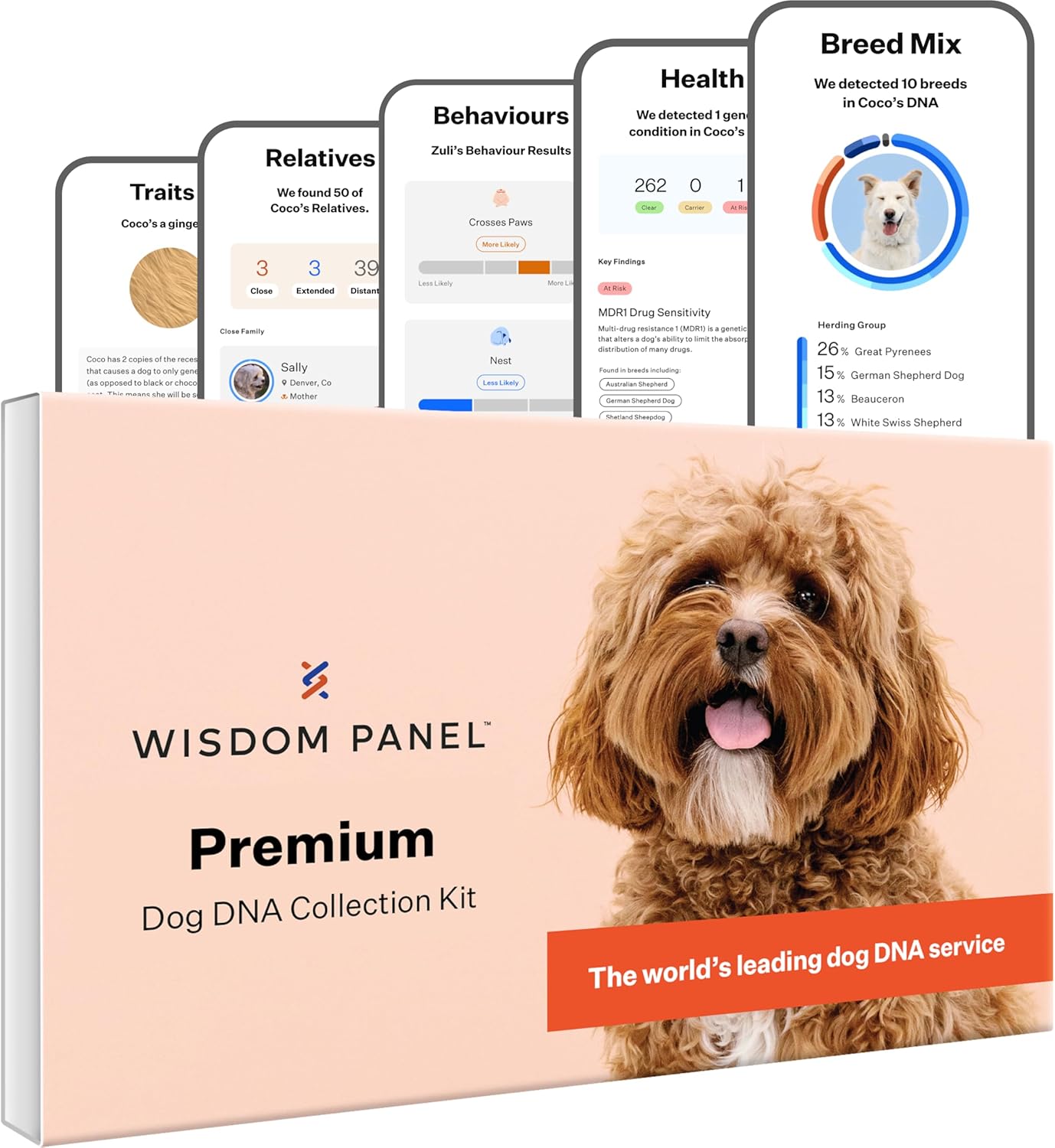 Wisdom Panel Premium: Most Comprehensive Dog DNA Test for 260+ Health Tests | Accurate Breed ID and Ancestry | Traits | Relatives | Behaviours | Vet Consult