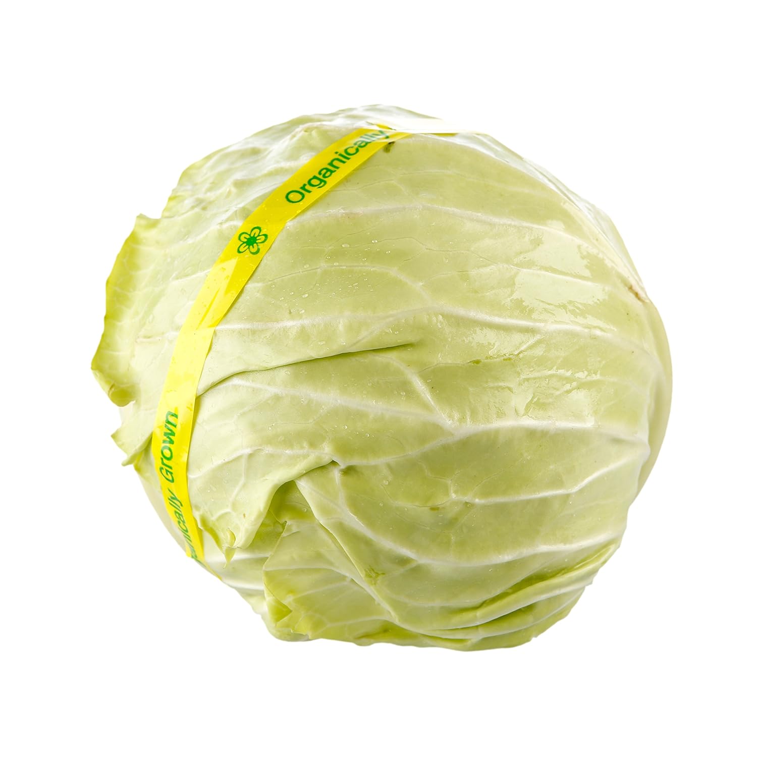 Bristol Farms, Cabbage Organic, 1 Count