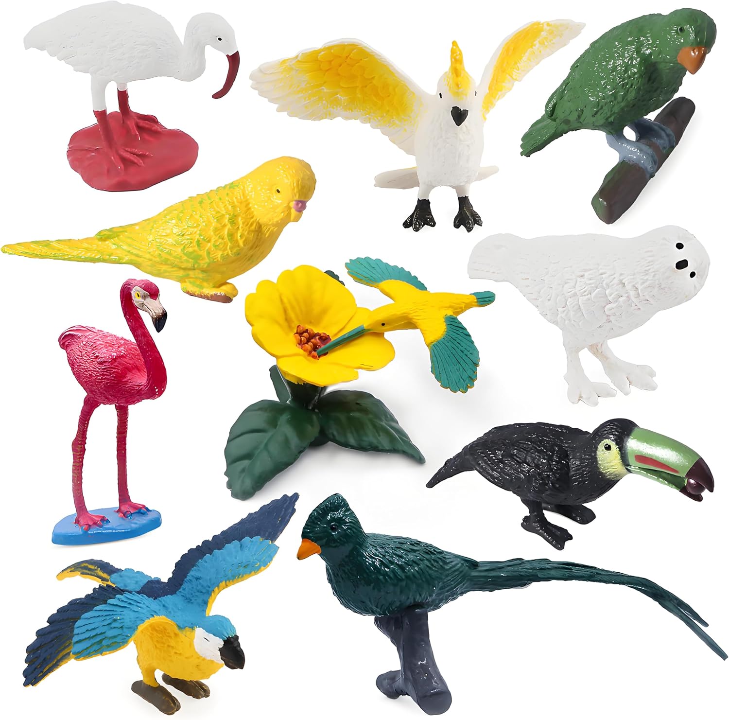SIENON 10Pcs Mini Birds Figures, Miniature Realistic Bird Animal Toys Figurines, Plastic Model Flamingo, White Ibis, Parrots, Hummingbird Educational Toy Cake Decorations