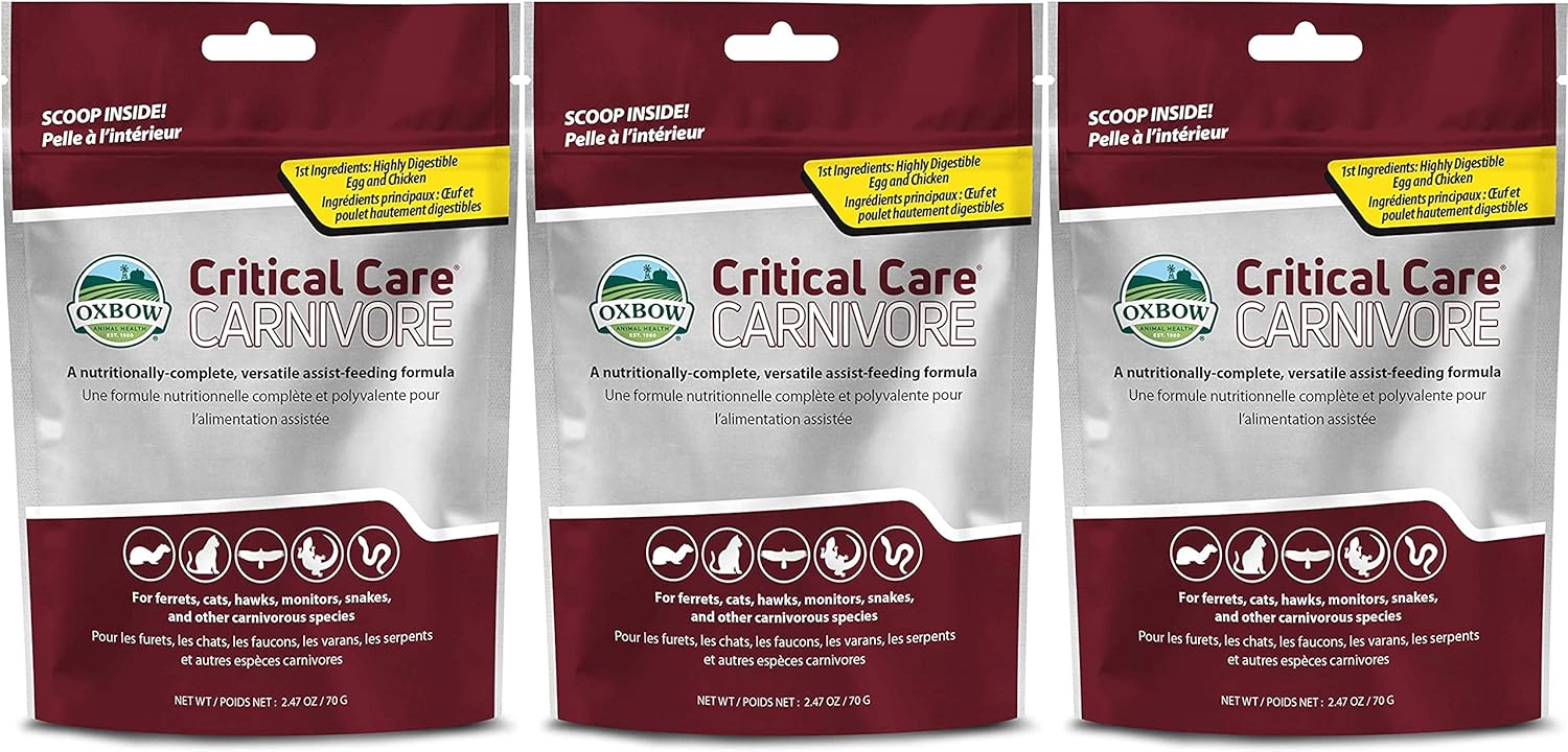 Oxbow 3 Pack of Critical Care Carnivore, 2.47 Ounces Each, Support Supplement for Small Pets