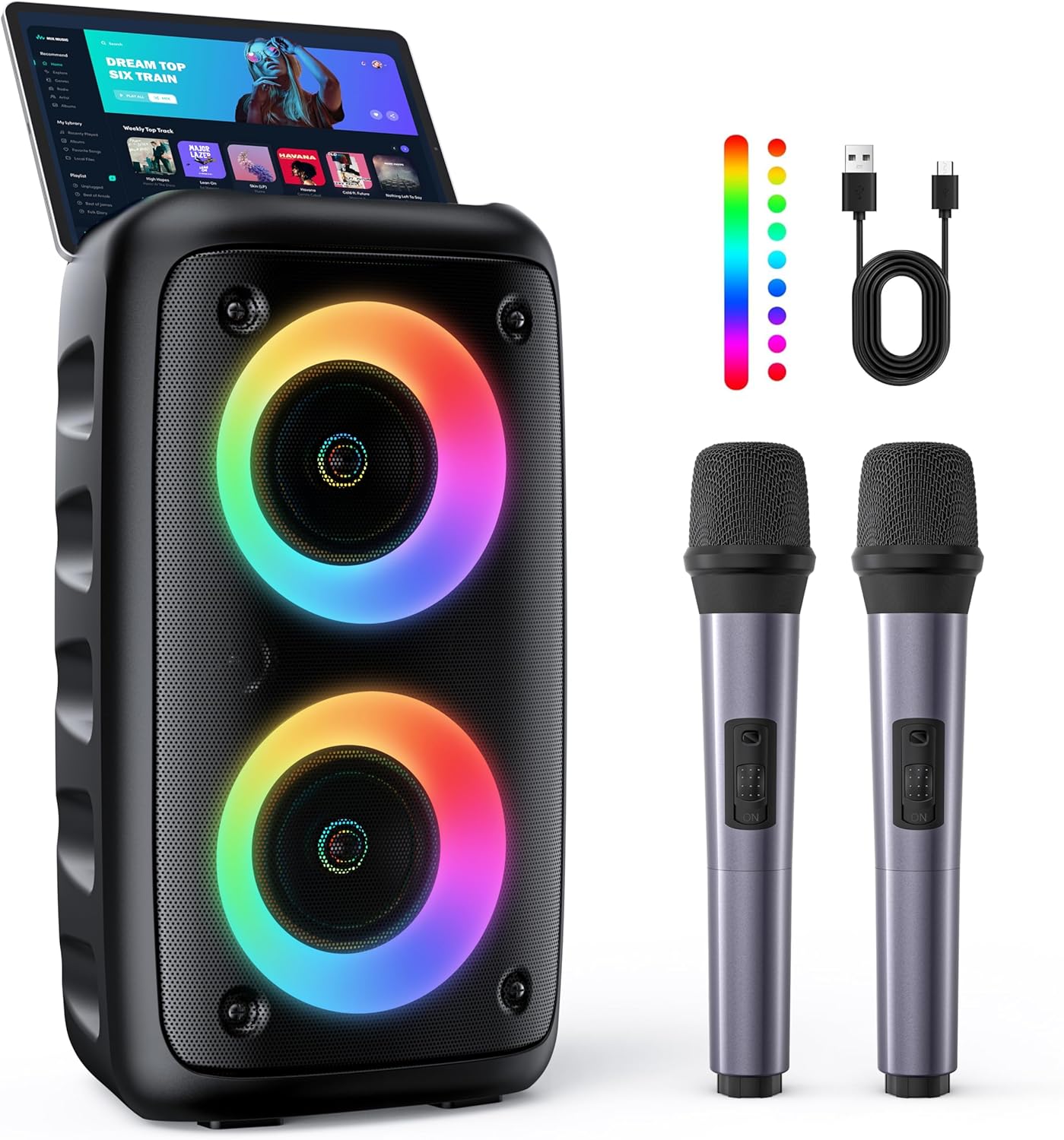 HEEBUKE Karaoke Machine, Portable Bluetooth Speaker with 2 Wireless Karaoke Microphones, Karaoke for Adults Kids with Upgraded Subwoofer, PA System, Support TWS/TF/USB/AUX, Party