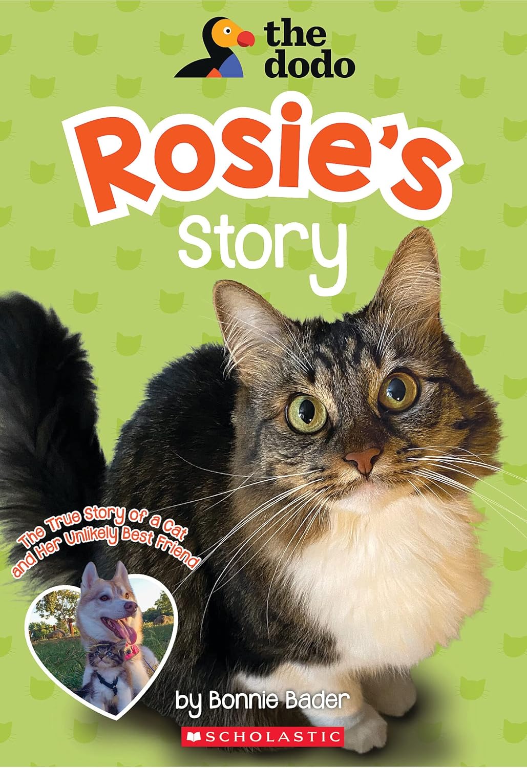 Rosie’s Story (The Dodo)