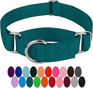 Country Brook Petz Martingale Dog Collar - Heavy-Duty Training Collar with No Buckle - Service Dog Collar for All Pups - Vibrant, Colorful Collection (Teal, 1 Inch, Medium)