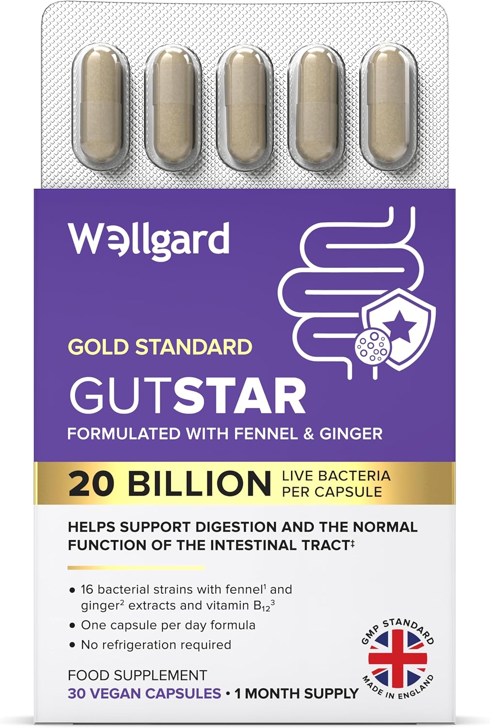 Wellgard Gutstar Probiotics - 16 Strain Probiotics for Gut Health with Fennel and Ginger, Vegan, UK Made