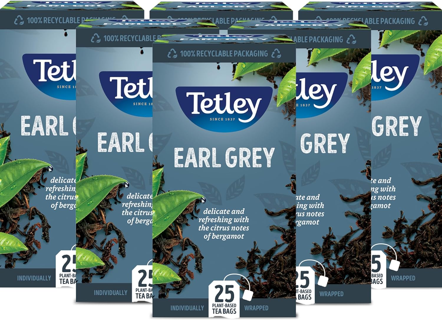 Tetley Earl Grey String & Tag Enveloped Tea Bags - Delicate Bergamot & Citrus Infusion - Premium Black Tea - Rainforest Alliance Certified - 150 Individually Wrapped Tea Bags (6x25 Pack)
