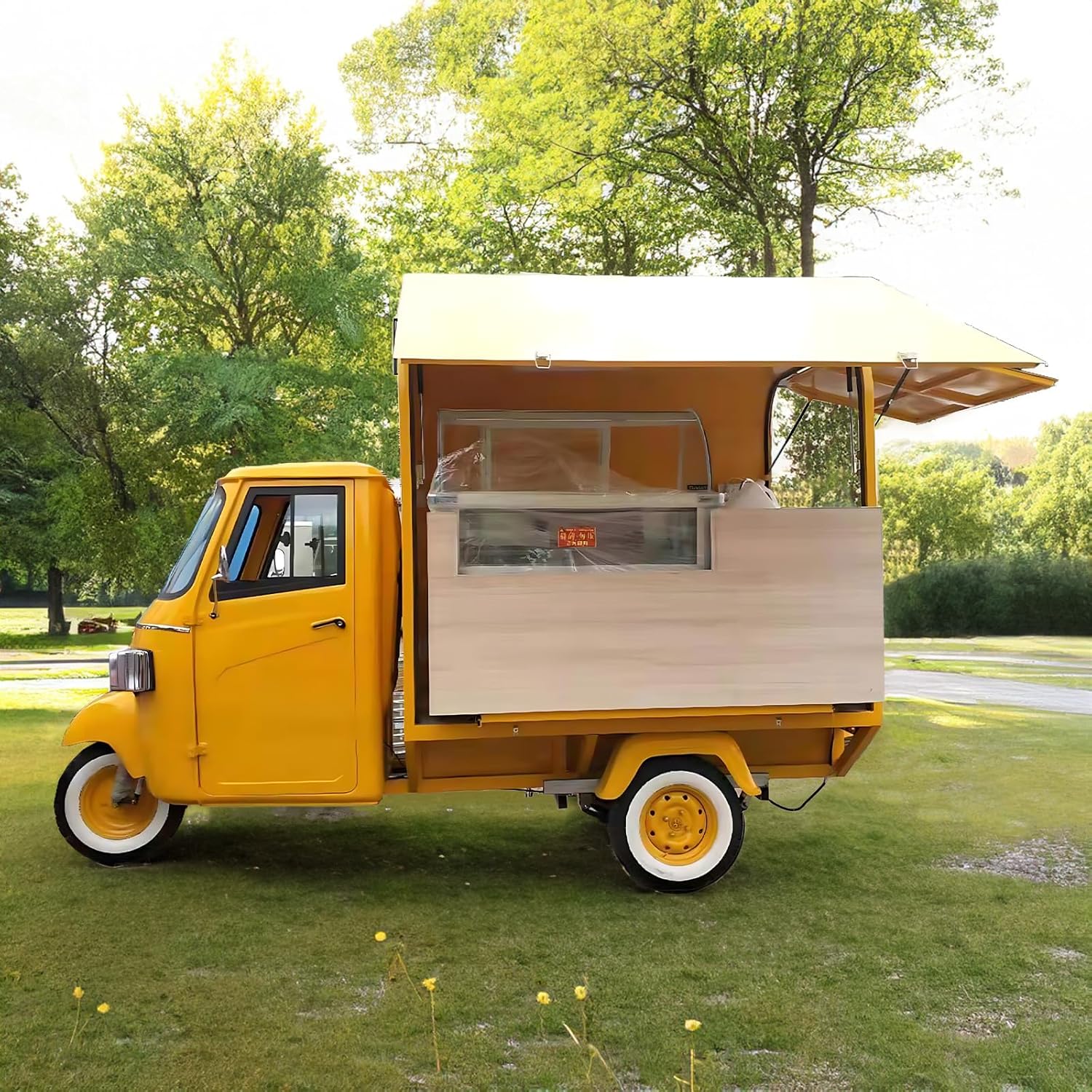 OEM Electric APE Ice Cream Truck with Display Refrigerator, Deposit of Mobile Concession APE Food Cart Portable Ice Cream Truck Salad Bar, Enclosed APE Food Vending Truck Cart with Full Equipment