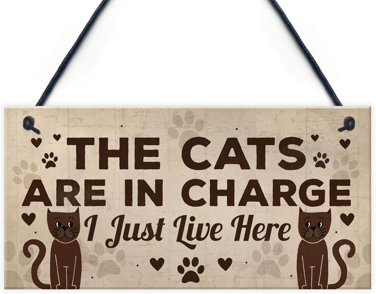 RED OCEAN Funny Cat Gifts For Cat Lovers Gift For Women Home Decor Plaque Animal Sign Pet Novelty Gifts