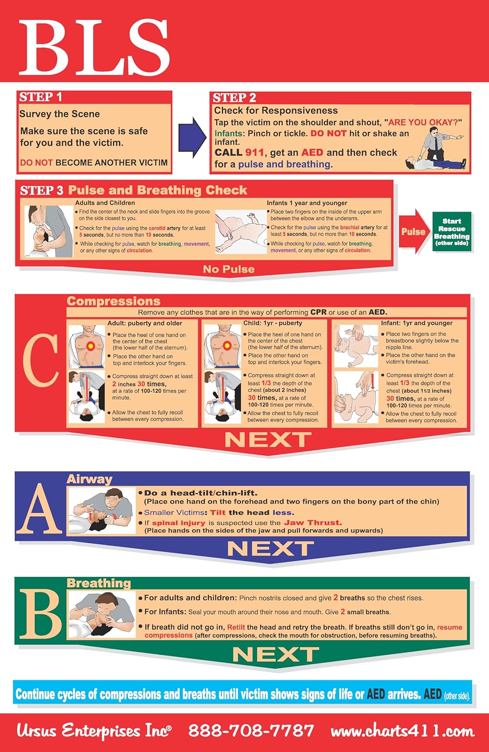 CPR/First Aid Training Handouts, Postcards, Flyers 5"x7" (BLS - 50 ct)
