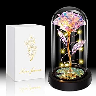 Birthday Gifts for Women,Christmas Rose Gifts for Women,Womens Glass Rose Gifts,Light Up Rose Flowers in Glass Dome,Colorful Rainbow Flower Rose Mom Gifts for Her,Wife,Thanksgiving,Anniversary