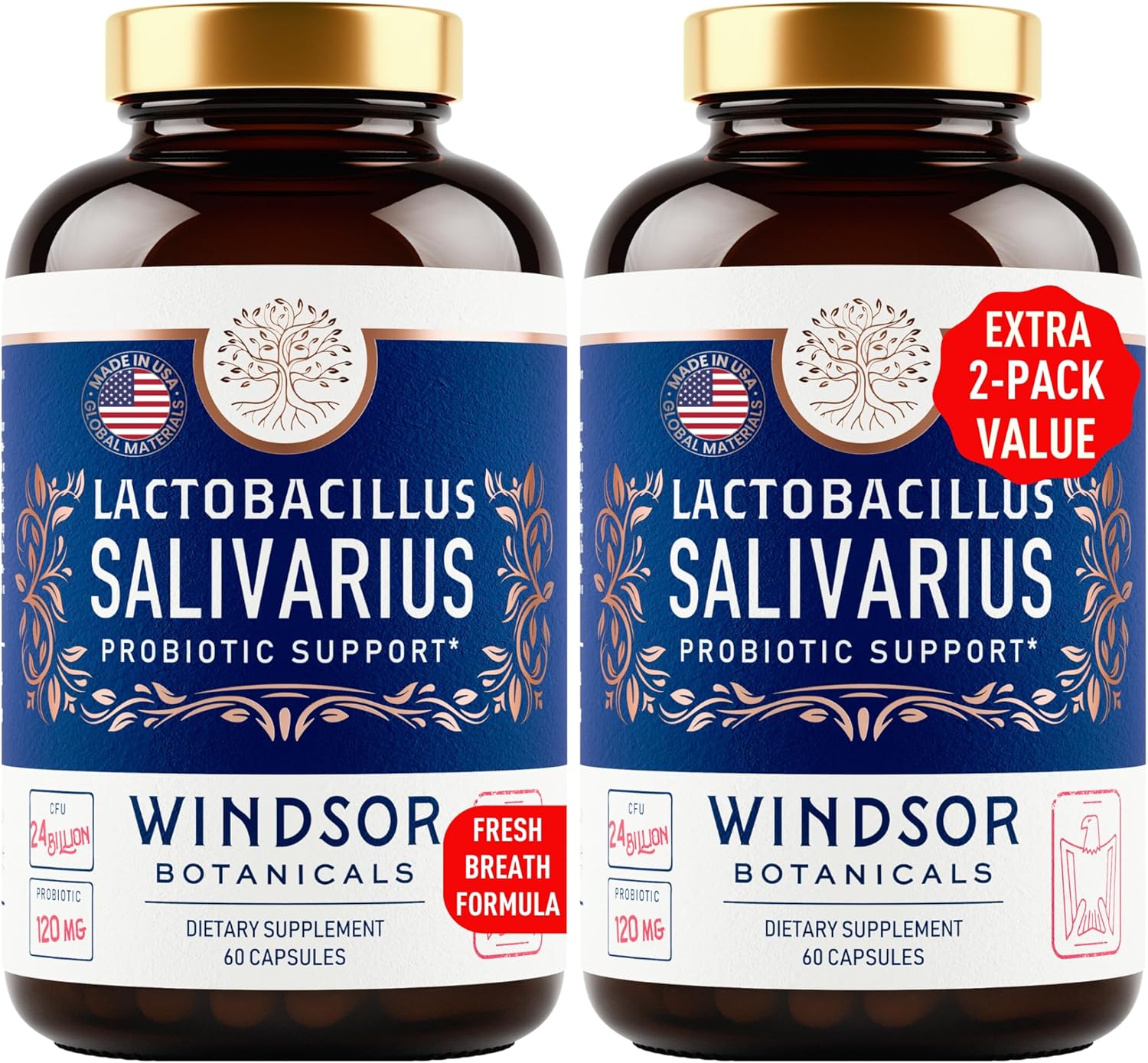 WINDSOR BOTANICALS Lactobacillus Salivarius Probiotic Capsules - L Salivarius Probiotic Oral Dental Probiotics for Bad Breath, Teeth and Gums Health and Immune Support - 24bn CFU, 2-Pack 120 Caps