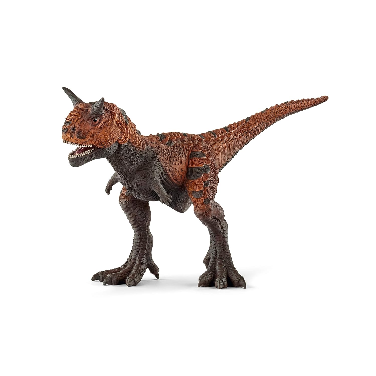 Schleich Dinosaurs Realistic Carnotaurus Figurine with Movable Jaw - Large Dinosaur Toy Collection, Realistic Prehistoric Durable Dinosaur Figure for Girls and Boys, Gift for Kids Age 4+