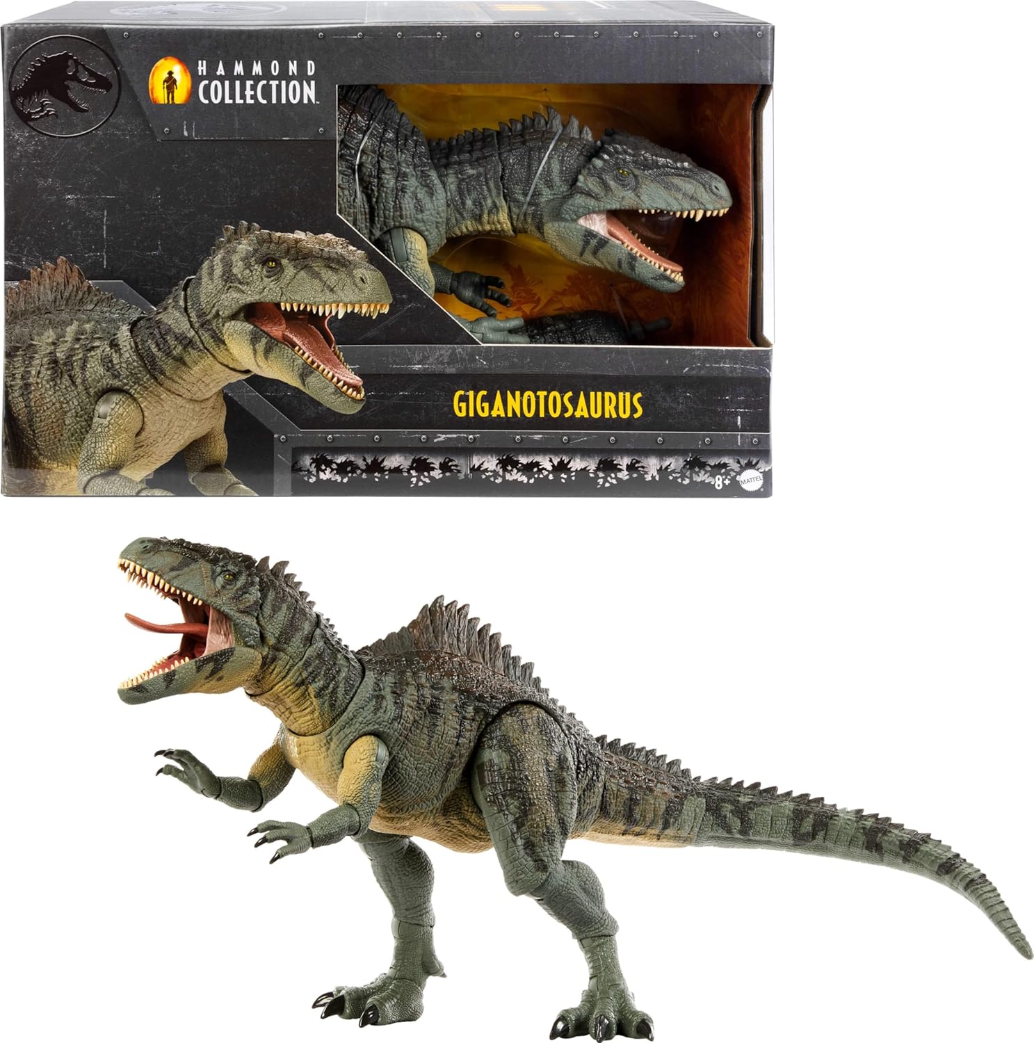 Mattel Jurassic World Dominion Hammond Collection Giganotosaurus Dinosaur Figure, 21 Articulations, Glass Eyes, Wired Tail & Posable Tongue