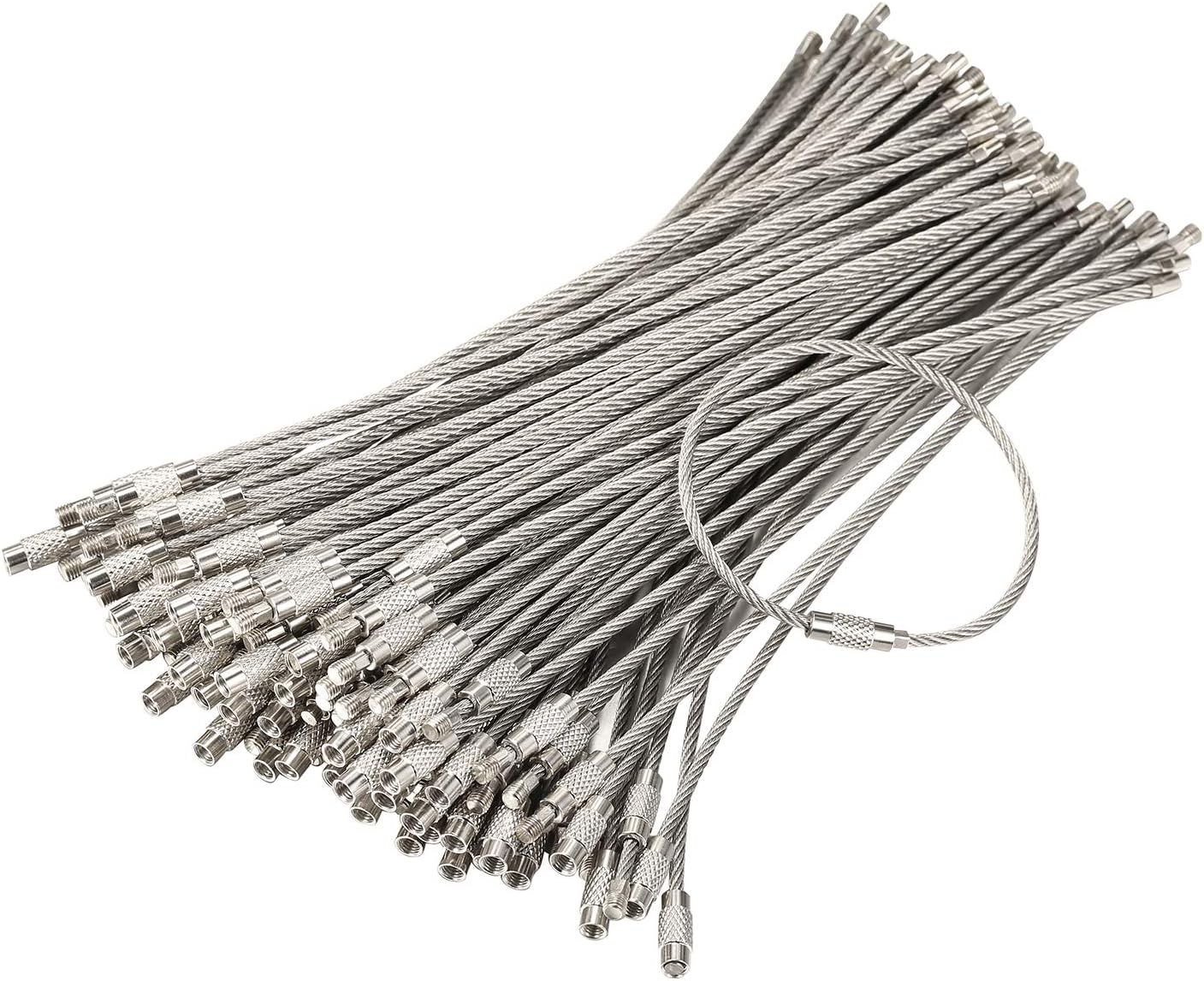 bayite Pack (100) Stainless Steel Wire Keychains Cable, Key Rings, Heavy Duty Luggage Tags Loops Tag Keepers 2mm Twist Barrel (Cable Length: 6 inches)