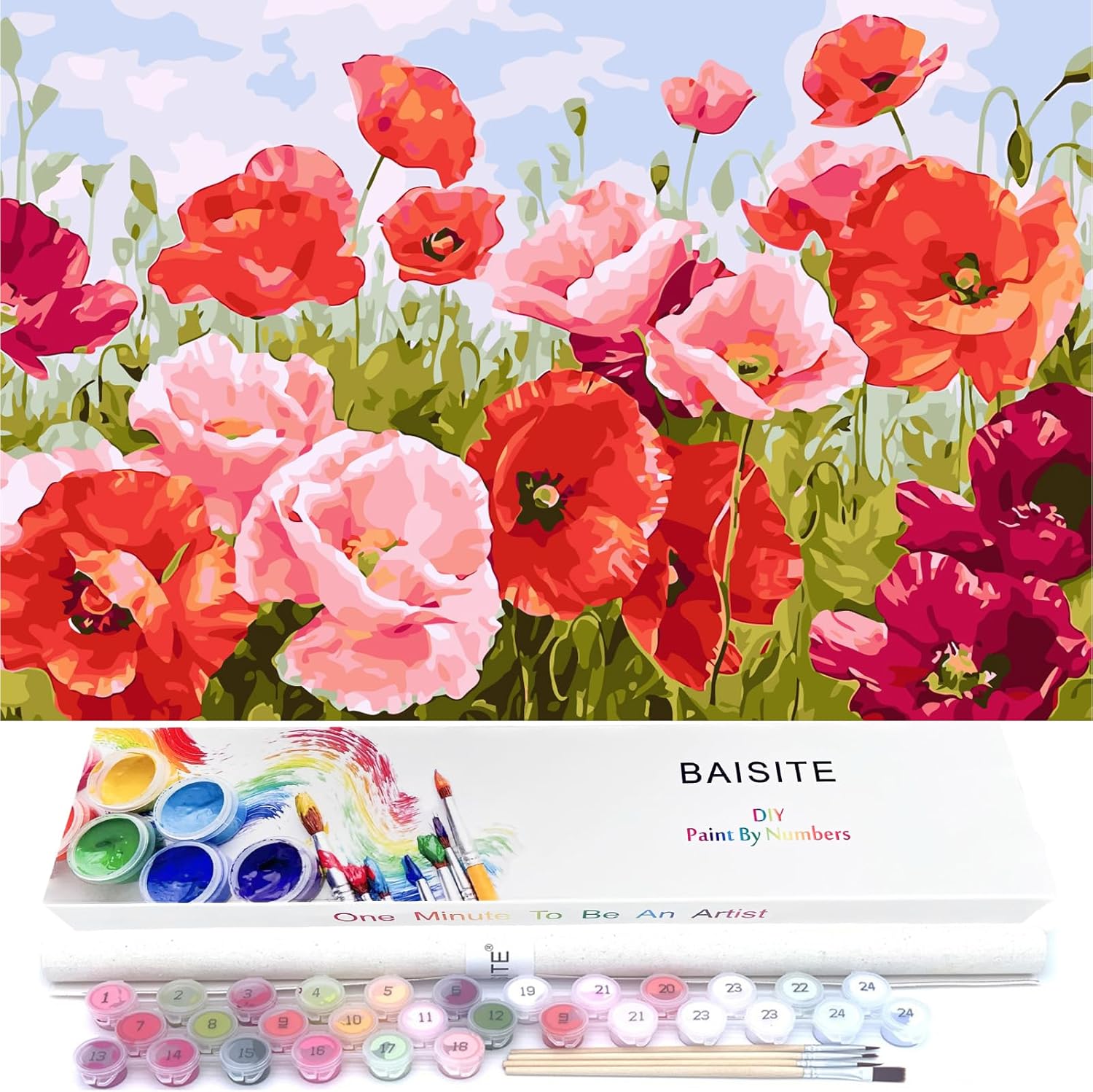 BAISITE Paint by Numbers Kit for Adults Beginners,20" Wx16 L Canvas for Painting Kits for Adults in Colorful Box Poppy Flowers-BSC001