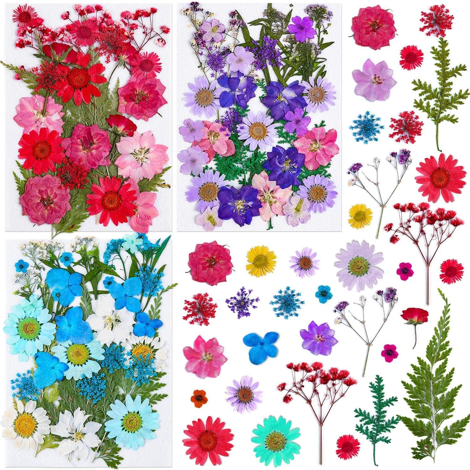 Thrilez 100Pcs Dried Pressed Flowers for Resin Crafts, Small Dried Flower Natural Herbs Pressed for Scrapbooking Greeting Card DIY Bookmark Resin Epoxy Accessories Nails Decor Soap and Candle Making