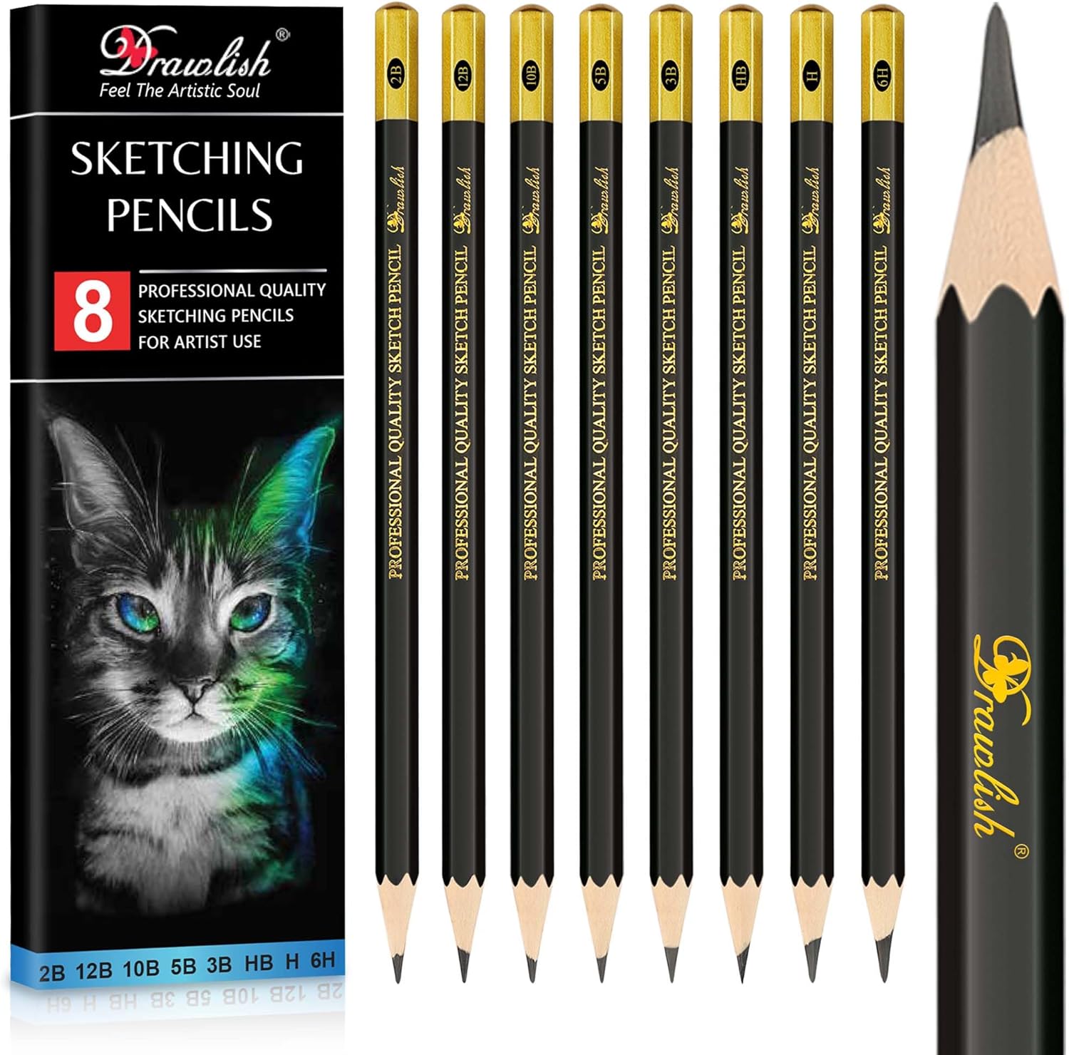 Drawing Pencils Set of 8-12B 10B 5B 3B 2B HB H 6H Sketching Pencils for Artists Beginners, Kids & Adults - Premium Wood Art Pencil Sketching Set for Shading, Doodling & Drawing