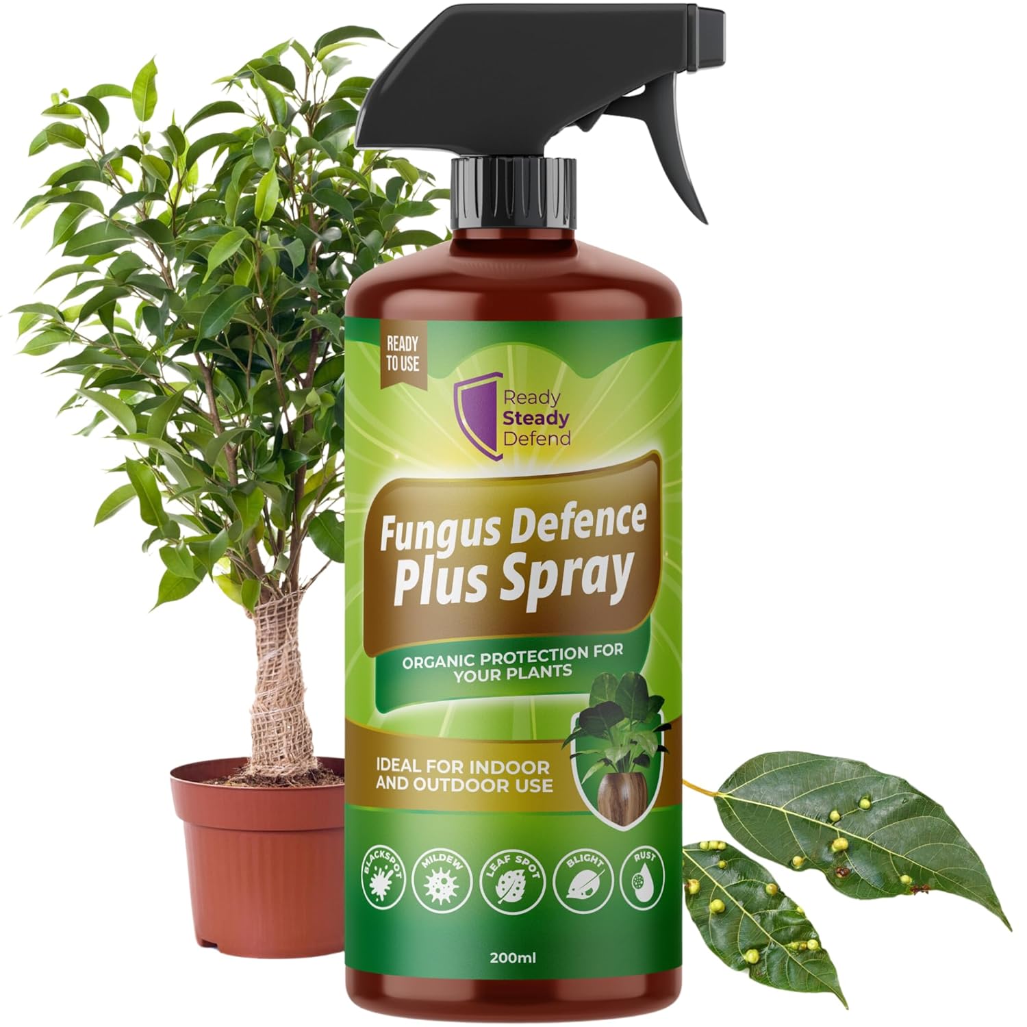 Fungus Defence Plus Spray 200ml | Organic Plant Protection | Targets Blackspot, Mildew, Leaf Spot, Blight, Rust | Ideal for Indoor & Outdoor Use | Safe on Fruits, Vegetables, Flowers | Natural Defence