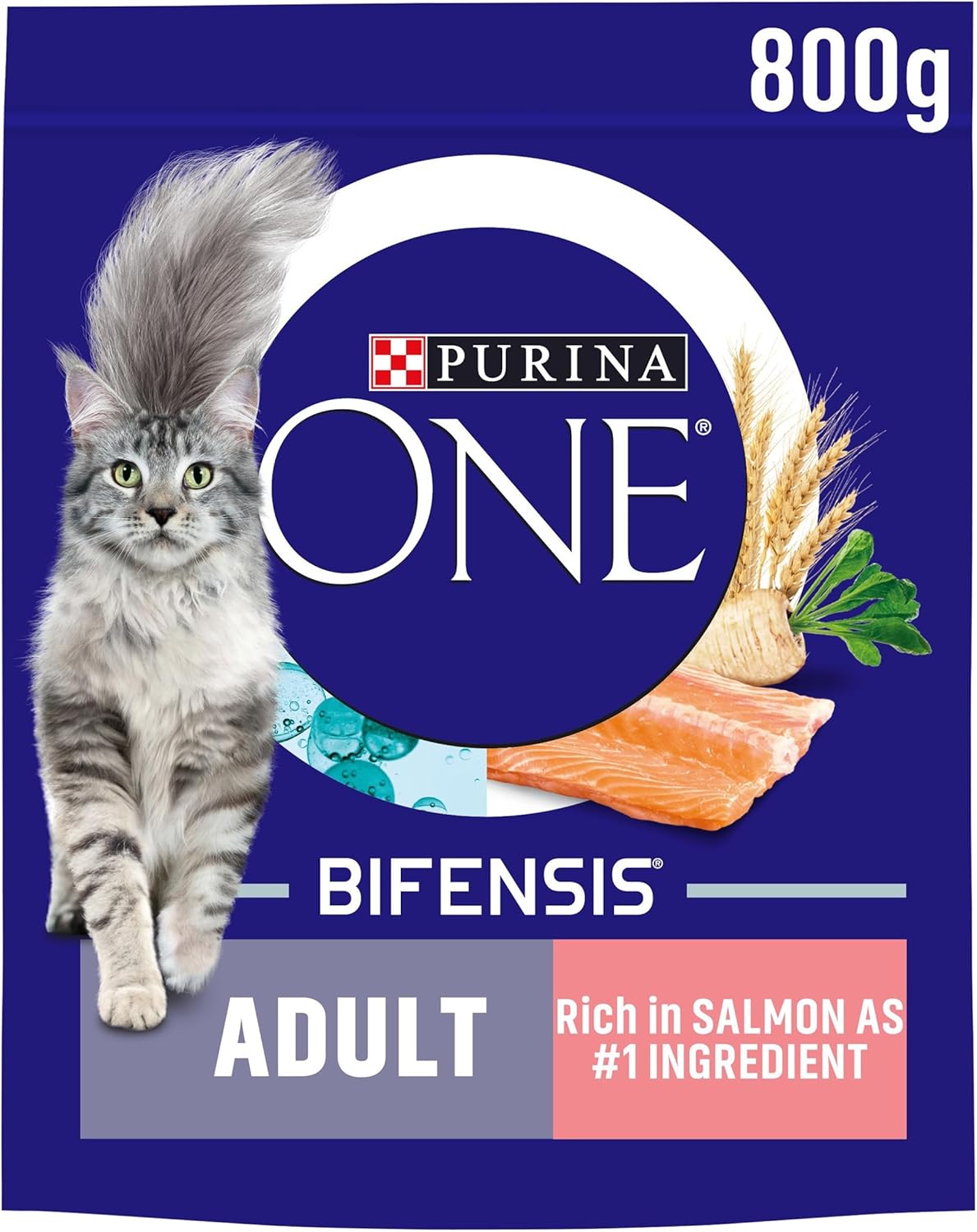 PURINA ONE Salmon Dry Cat Food 800g (Pack of 4)
