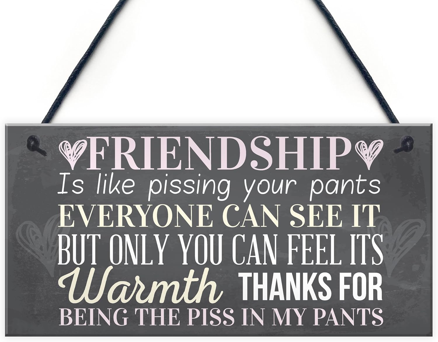 RED OCEAN Best Friend Sign Friendship Gift Funny Thank You Novelty Birthday Shabby Chic Hanging Plaque