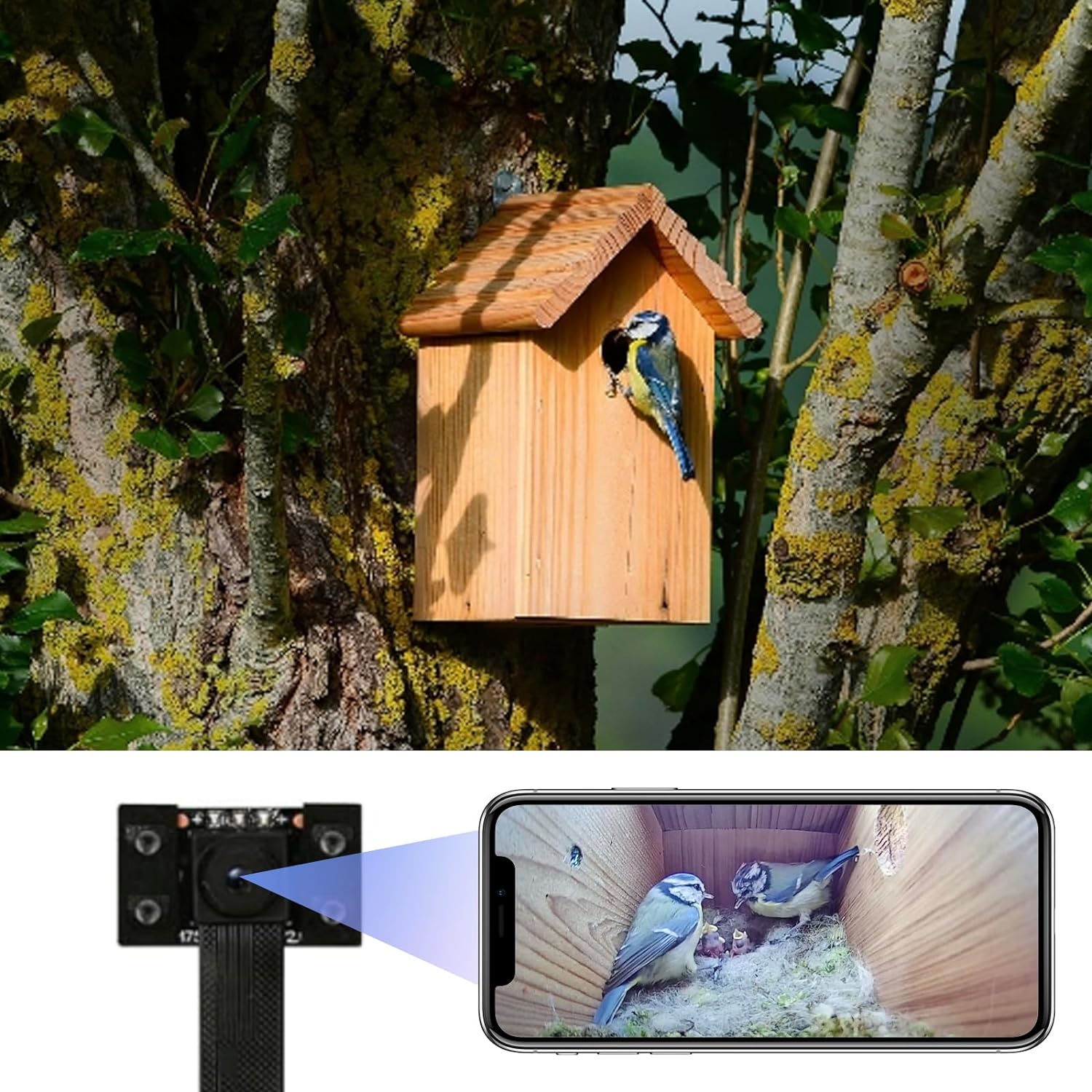 WIWACAM WiFi Camera for Bird Box, WLAN 4K HD, Live Video to Phone, Easy Installation in Most Bird Box, Birdhouse, Bird House Feeders, for