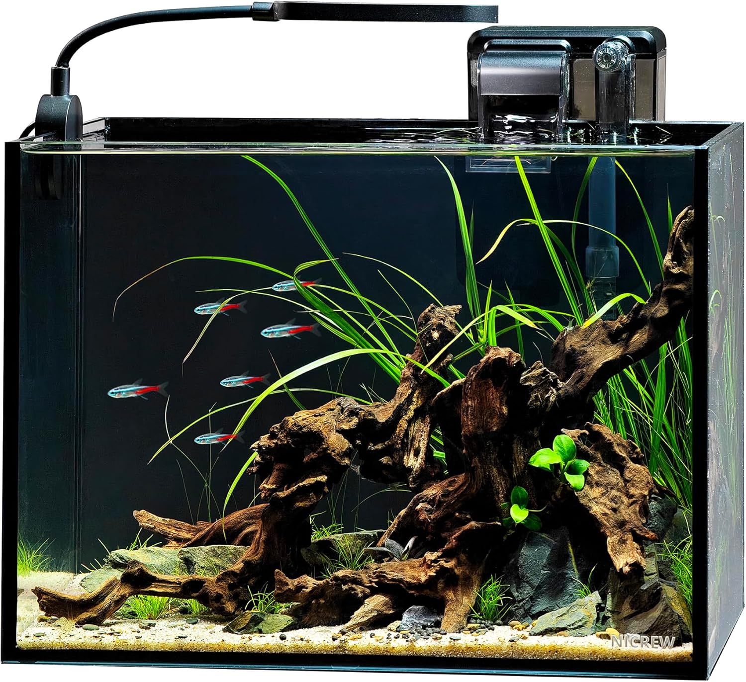 NICREW 2.5 Gallon Nano Nature Aquarium Kit, Ultra-Clear Rimless Desktop Fish Tank with Light and Filter, Perfect for Small Fish, Shrimp, or Betta, Basic Version, Black