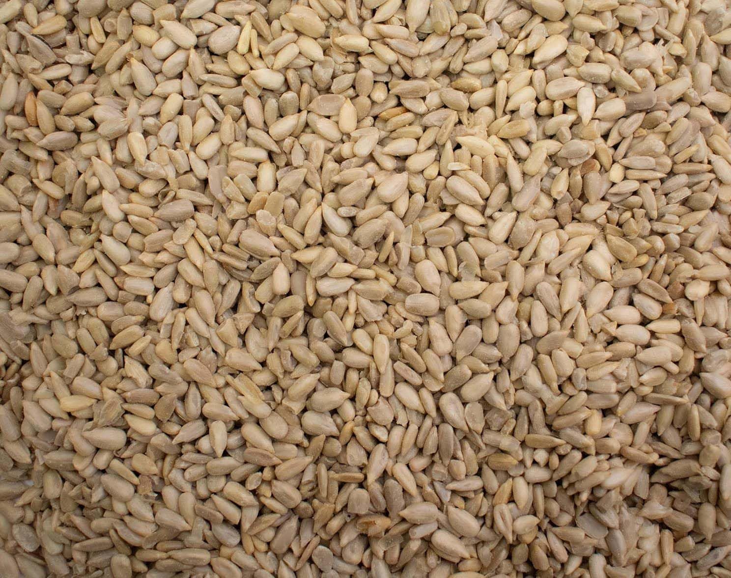 Sunflower Seeds 500g - Premium Sunflower Seed Kernels - Bulk Bag - Ready to Eat - Blue Forest Foods