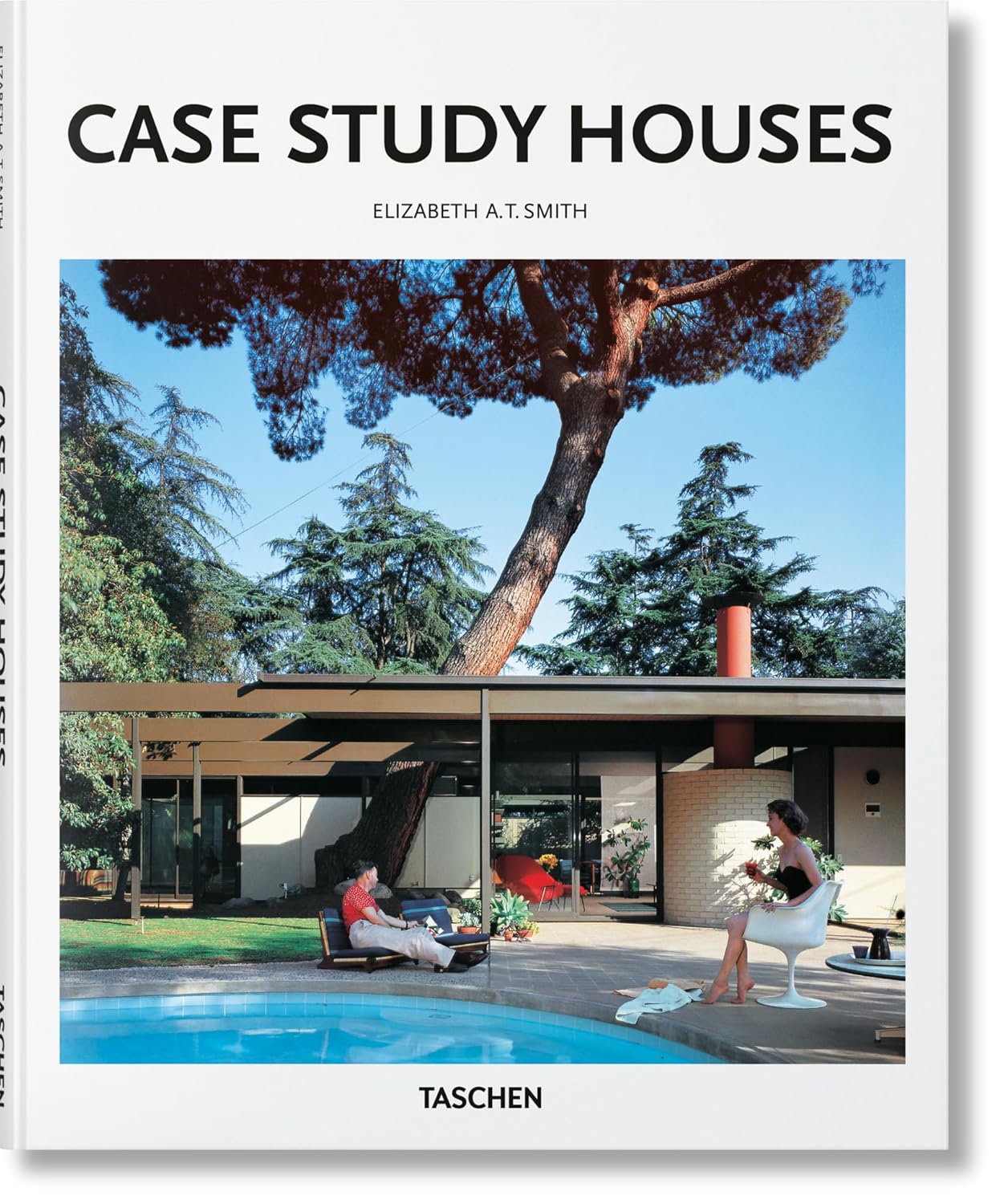 Case Study Houses (Basic Art)