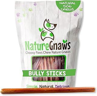 Nature Gnaws Large Bully Sticks for Dogs 11-12" (5 Count) - Thick Long Lasting for Aggressive Chewers and Large Dogs - Natural Beef Dog Chew Bones