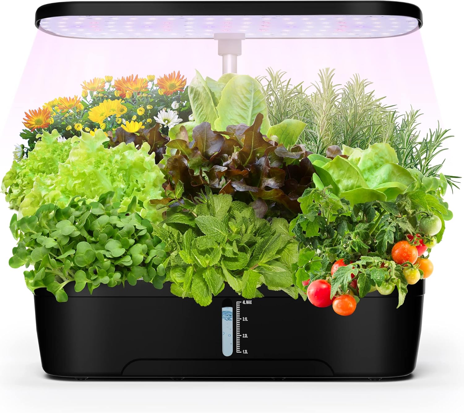 Indoor Garden Hydroponics Growing System 12 Pods, Indoor Herb Garden with LED Grow Light, Adjustable Height Up to 12inch, Hydroponics for Family